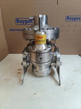 RAYGAS調(diào)壓閥RD53調(diào)壓器不銹鋼材質(zhì)