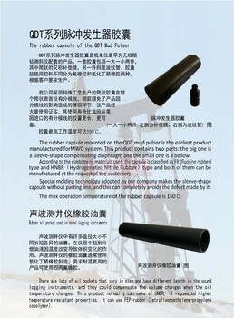泥漿脈沖發生器密封