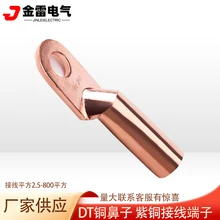 金雷按需定做各種冷壓銅鼻子塘錫線鼻子銅電纜接頭銅接線端子