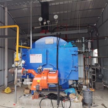 饲料生产燃气蒸汽锅炉WNS1吨低氮冷凝锅炉