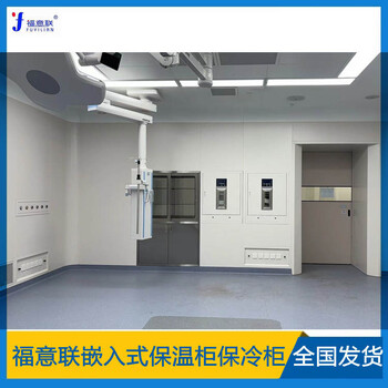 手術室保溫柜FYL-YS-150L2-48℃保冷柜