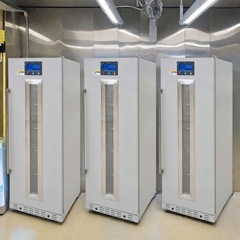 中藥熱敷包恒溫箱FYL-YS-431L溫度0-100℃福意聯(lián)廠家