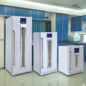 中藥熱敷包恒溫箱FYL-YS-431L溫度0-100℃福意聯(lián)廠家