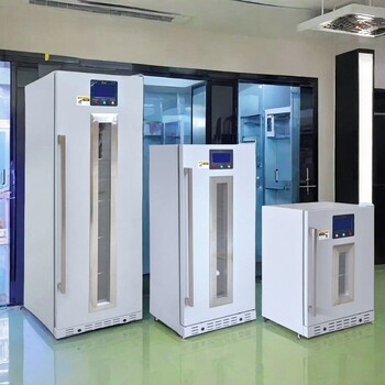 中藥外敷包加溫柜(中醫熱奄包恒溫箱)FYL-YS-431L