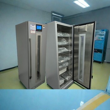 中藥熱敷包恒溫箱FYL-YS-431L溫度0-100℃福意聯(lián)廠家