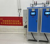 定制D級192kw電加熱蒸汽發(fā)生器用于醫(yī)藥設備行業(yè)