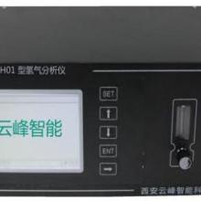 YF-H01型氢气分析仪