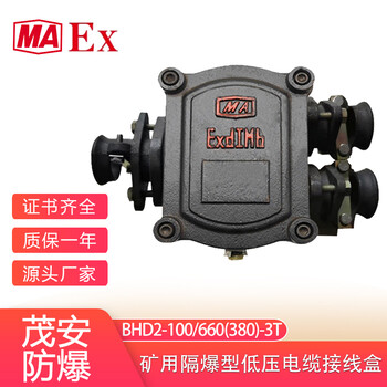 礦用隔爆型電纜接線盒廠家批發BHD2-100/660(380)-3T