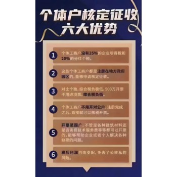 享受園區(qū)返稅/了解核定征收/出具紙質(zhì)核定/辦理個(gè)體戶注冊(cè)