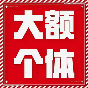 享受园区返税/了解核定征收/出具纸质核定/办理个体户注册