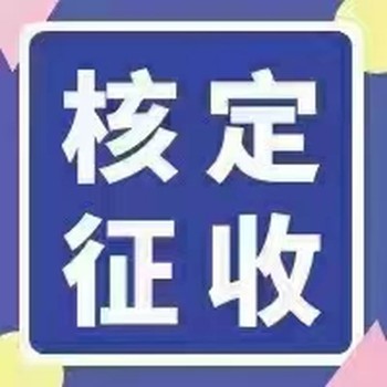 享受园区返税/了解核定征收/出具纸质核定/办理个体户注册