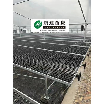 蝴蝶蘭種植中常用的黑塑料網(wǎng)苗床的介紹