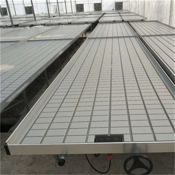 新型自動化物流苗床系統(tǒng)農(nóng)業(yè)現(xiàn)代化好幫手