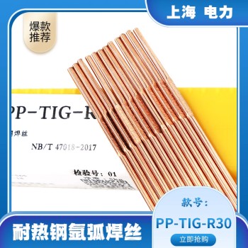 上海电力PP-TIG-R10耐热钢氩弧焊丝供应