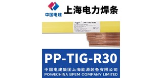 上海电力焊材PP-TIG-309Mo不锈钢钨极氩弧焊丝图片0