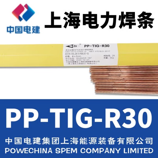 上海电力PP-TIG-R34耐热钢氩弧焊丝