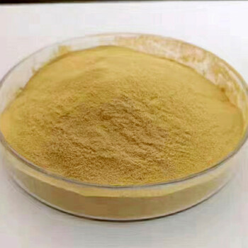 1000億農(nóng)業(yè)微生物菌劑枯草芽孢桿菌復(fù)合芽孢桿菌菌種