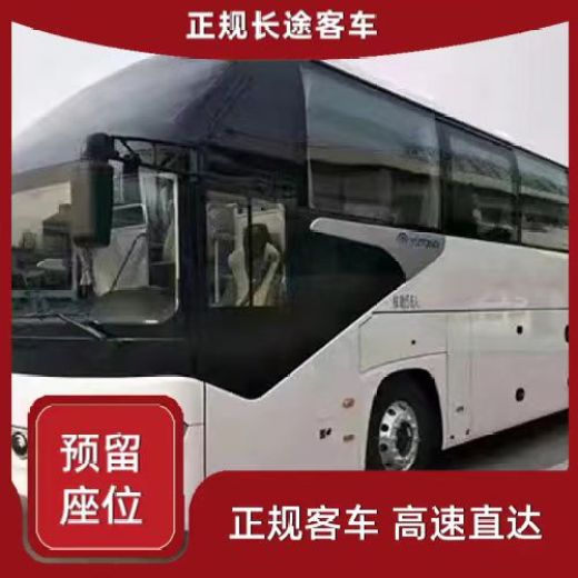 临朐到淇县的客车时刻表/直达车/欢迎咨询