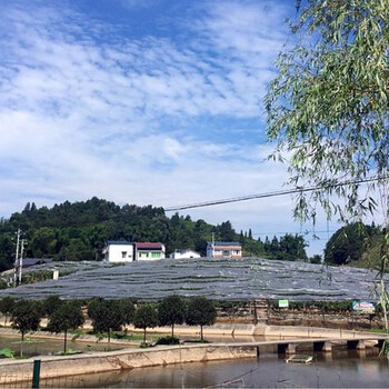 重慶農家樂，重慶巴南區農家樂，重慶巴南農家樂，巴南農家樂