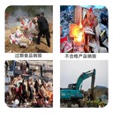 番禺區(qū)過期添加劑報廢環(huán)?；厥諉挝?>  
                    </a>     
                    <div> <a href=