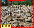 珠海香洲区不合格产品报废销毁回收处理单位图片