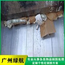 廣州南沙區(qū)檔案銷毀處置/環(huán)保處置單位