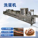 創(chuàng)匯單排CHXD-6000型雞蛋清洗機(jī)不銹鋼材質(zhì)