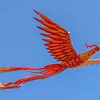 網(wǎng)紅飛天鳳凰景區(qū)表演鳳凰租售