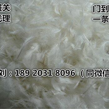 天津鴨毛進(jìn)口報(bào)關(guān)代理公司/天津鴨毛進(jìn)口報(bào)關(guān)代理