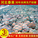 馳善格賓網(wǎng)護(hù)岸固堤鍍鋅石籠網(wǎng)綠濱墊水利鍍鋅固濱籠雷諾護(hù)墊