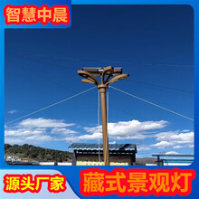 四川成都藏式太陽能路燈廠玉蘭燈異形燈桿定制圖片