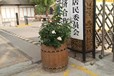 戶外落地水泥仿木花箱成品方形花池子