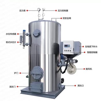 生物質(zhì)蒸汽鍋爐生物質(zhì)蒸汽發(fā)生器柴煤蒸汽鍋爐燃油蒸汽發(fā)生器