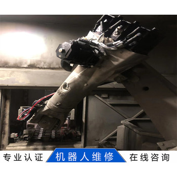 TX90PAINT史陶比爾Staubli機(jī)器人維修保養(yǎng)多樣化