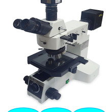 金相显微镜Bamtone/M40