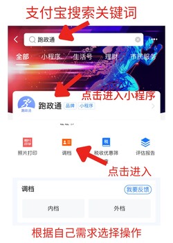 怎么查公司的法人的基本信息