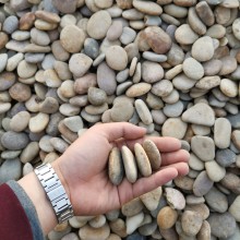 鹅卵石扁平状-毛石扁石鹅卵石铺路-土黄色扁石卵石2-3公分