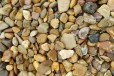 河道冲洗鹅卵石-南京本地河床开采五彩鹅卵石-鹅卵石雨花石