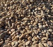 工程彩色鹅卵石10-20公分-景观砾石绿化工程用大块颗粒鹅卵石