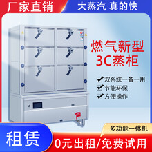 廚房蒸汽機蒸柜廚柜蒸飯柜