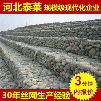 河床邊坡防護賓格網(wǎng)石籠網(wǎng)鐵絲網(wǎng)金屬網(wǎng)六角擰花格賓網(wǎng)