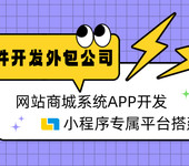 南昌软件开发制作公司全行业开发定制网站app小程序制作建设