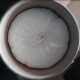 發(fā)發(fā)助手