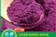 内蒙古包头紫薯生粉