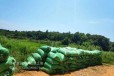 邢台沙河羊粪有机肥提升土壤肥沃