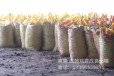 福建南平武夷山有机肥好肥料