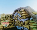 巨野菏泽运城发酵羊粪改善养殖场环境