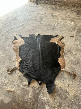 聊一聊關于我們近期完成的牛骨粒進口清關的相關操作