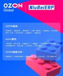 牛貝ERP亞馬遜OZON跟賣鋪貨ERP軟件貼牌定制OEM