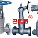 巴典尼閥門BADIANNI鑄鋼不銹鋼合金鋼法蘭磅級(jí)電站閘閥